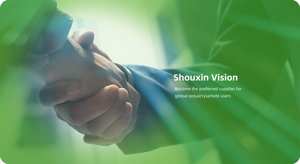 Shouxin Vision